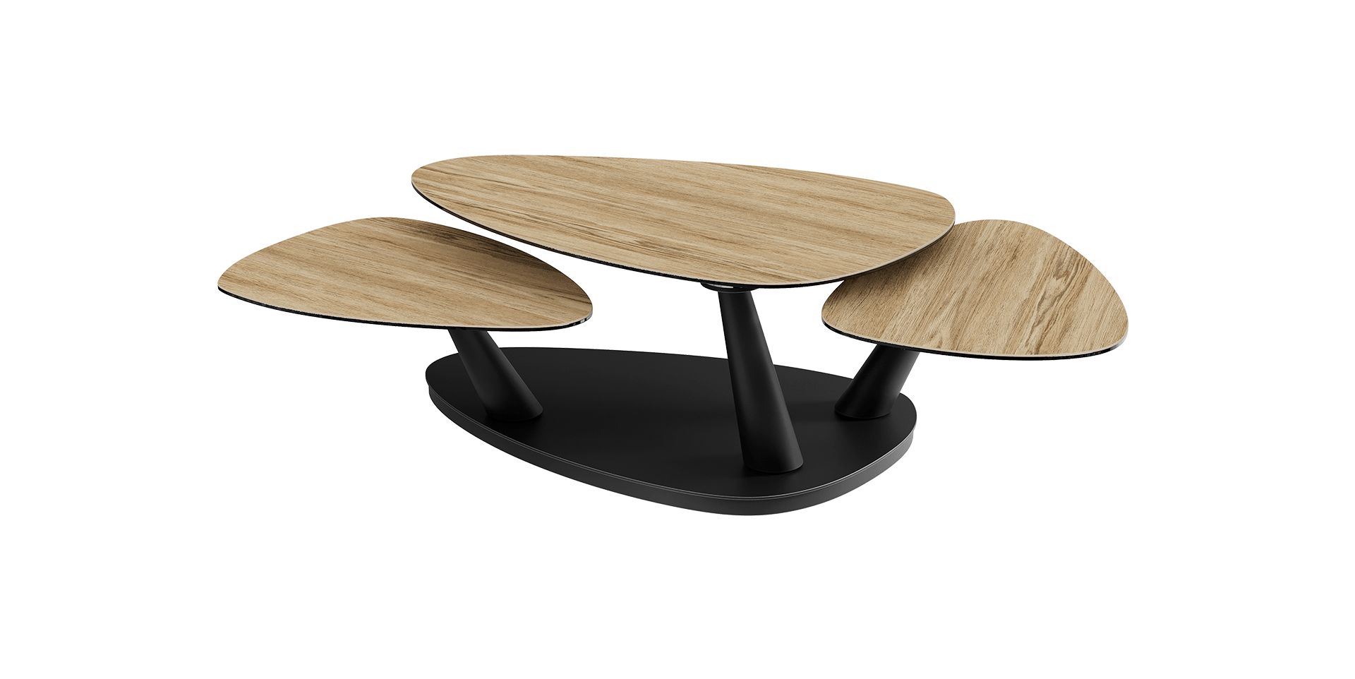 Table basse CAMELIAS slider image n°10